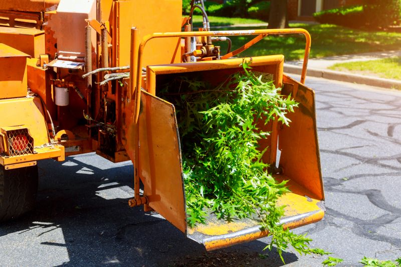 Tree Cutting Service