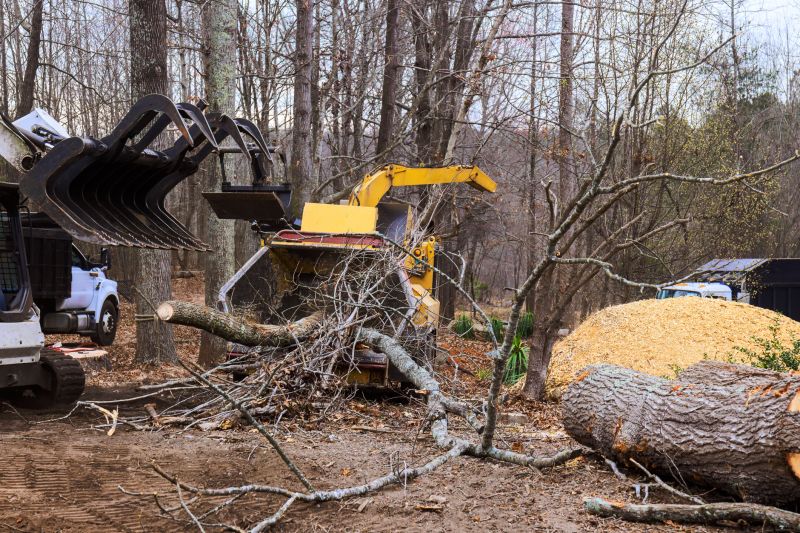 Cherry Tree Removal in Doylestown, PA