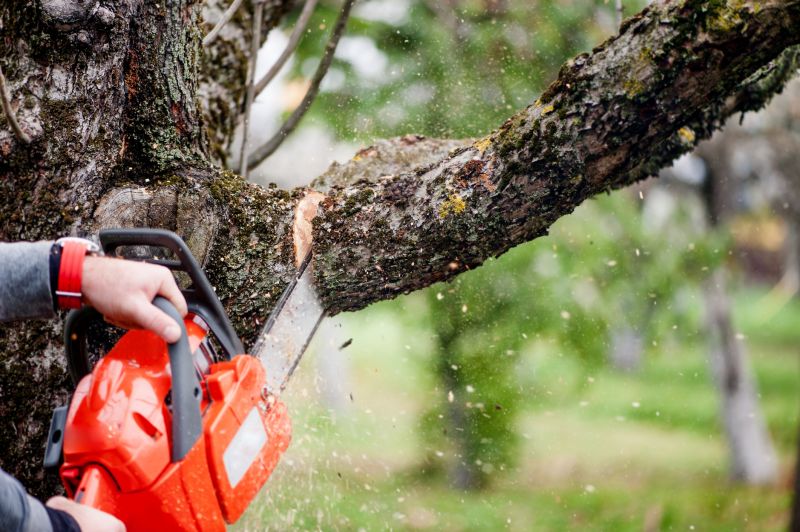 Tree Cutting Service detail