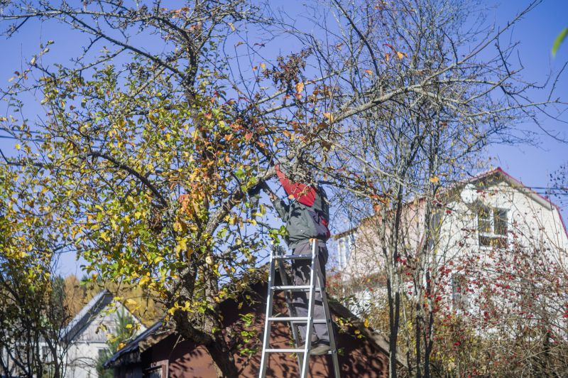 Tree Service in Montgomery County, PA