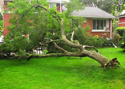 Keep Your Home Safe from Storm Damage!